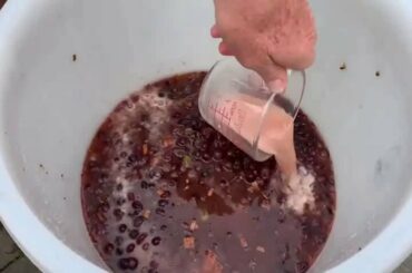 WINE MAKING SERIES - EPISODE 4 - YEAST & PRIMARY GRAPE FERMENTATION