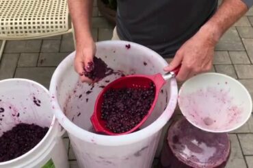 WINE MAKING SERIES - EPISODE 5 - PRESSING & SECONDARY FERMENTATION