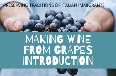 INTRODUCTION TO WINE MAKING SERIES