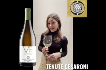 Italian Wine, Verdicchio dei castelli di Jesi Classico 2020 LE BARBATELLE