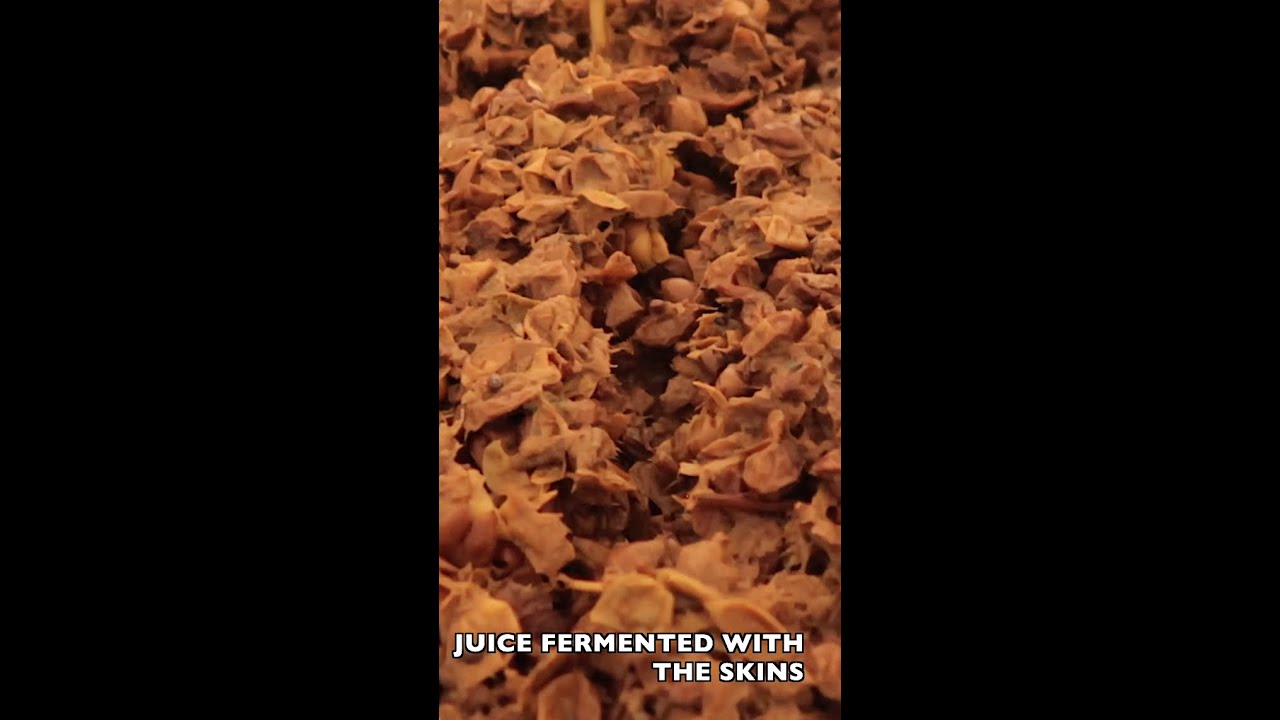 What is Orange Wine / Amber Wine? What is Orange Wine / Amber Wine?