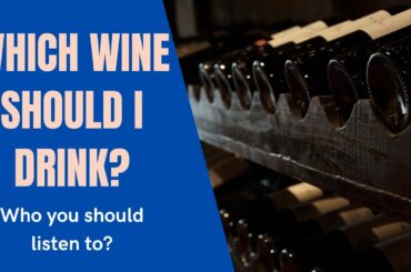 Which wine you should drink? Who you should listen to?