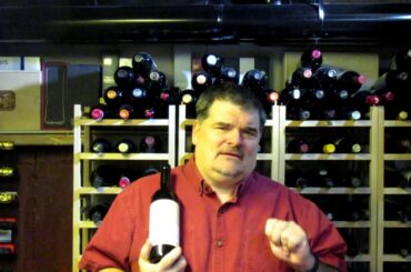 Massolino 2016 Barolo, Serralunga D'Alba (The Wine Review - #286)