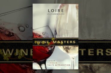 Wine Masters: Loire