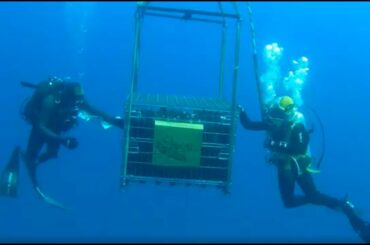 SiSpirit and Sub Genova Innovative Wine Aging Project