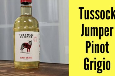 Tussock Jumper Pinot Grigio Wine Review