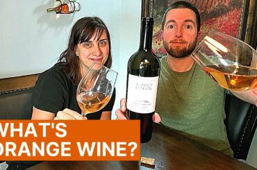 ORANGE WINE [Skin Contact Wine] Introduction - Albino Armani 2019 Pinot Grigio Review