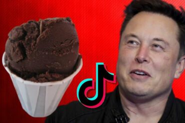 IMPOSSIBLE, ELON MUSK LIKES THE HOMEMADE ITALIAN ICE RECIPE FROM TIK TOK?