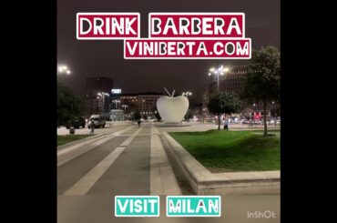 Barbera wine and Milan city- be fashion!