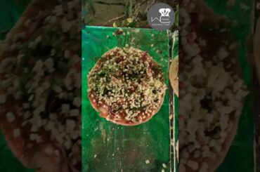 New Street Pizza's | World famous food | italian recipe #short food video | chinese food |new video