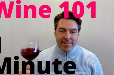 Wine 101 in 1 Minute