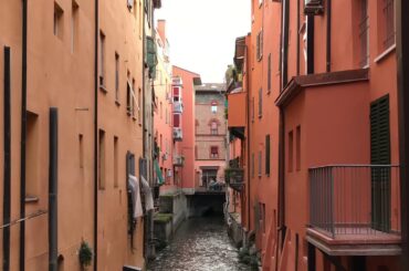 Flight I took to Eat Walk Wine in Bologna & Florence, Italy [January, 2020]