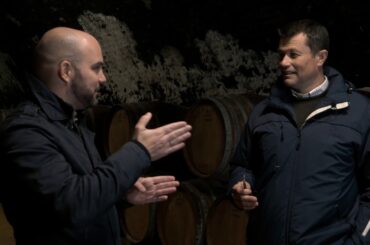 Wines of Hungary - 22 Wine Districts Personally - Tolna