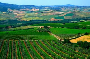 Col d'Orcia 2016 Brunello di Montalcino Release  -  Wine Oh TV