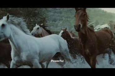 Argiolas Wine: Our Identity Makes Us Unique