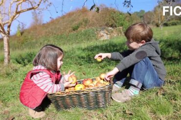 The Italian Food Excellence