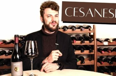 Tasting one of the best wines of Lazio - Matidia Cesanese by Casale del Giglio