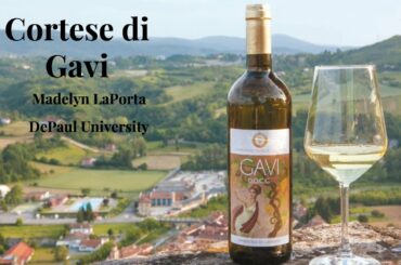 All About Cortese di Gavi Wine