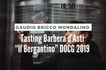 Taste Test: Tasting Barbera d’Asti “Il Bergantino” DOCG 2019 with Beatrice Gaudio