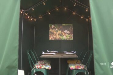Esther’s Kitchen repurposes dining tents to display art