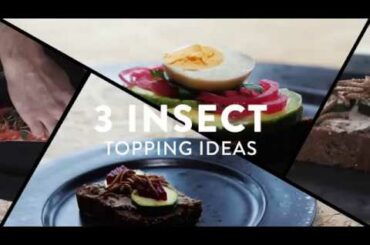 Entochef Insect recipes  - 3 Insect Topping ideas