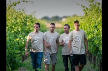 Venti Venti (Taste of Italy Virtual Trade Fair 2021 exhibitor)