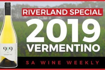 2019 Vermentino | 919 Wines