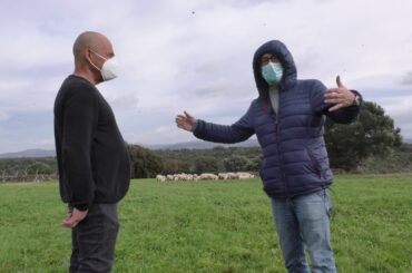 ITALIAN FOOD | The best pecorino cheese