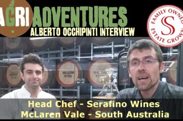 Alberto Occhipinti Interview - Head chef - Serafino Wines McLaren Vale