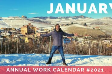 Barolo wine calendar - JANUARY 1st episode