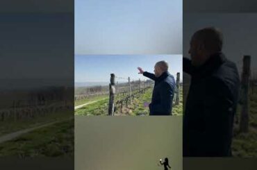 Sulle tracce del vitigno Albarossa in Monferrato (Piemonte)
