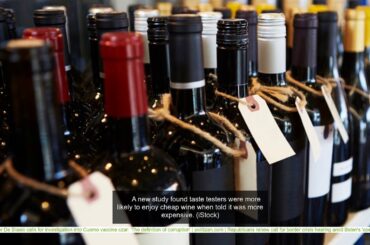 Cheap wine 'tastes' better with an expensive price tag, study finds