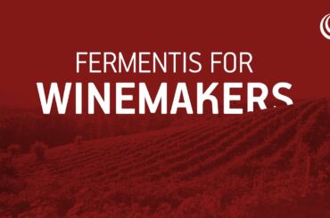 Fermentis for winemakers