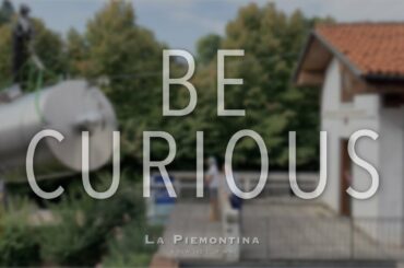 Winemaking processes