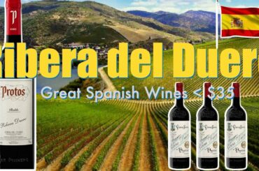 Ribera Del Duero || Spanish Wine || Decants with D