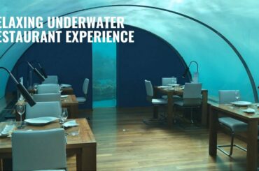 Relaxing Underwater Restaurant Experience - Bubble Water Sounds for Stress Relief and Sleep 2021