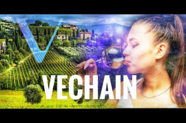 VeChain 2 Years Ahead Of Newly Announced Carbon Neutral 5 Year Plan | DNV My Story Deep Dive