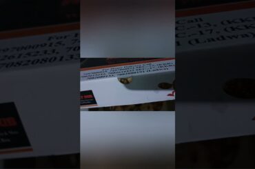 Pizza | #short #shorts #food #foodporn #pizza #italianfood #yummy #tasty #youtube