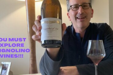 Grignolino is a Grape That Demands Your Attention | Under the Radar Grapes