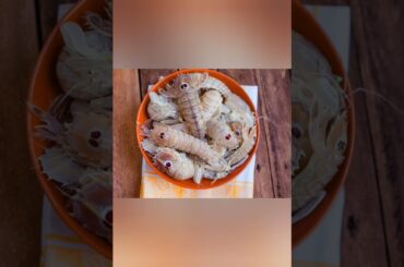 A Taste of Italy: Veneto Region "Risi E Bisi"