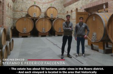 A sip of Roero DOCG: Cascina Chicco, Canale (CN) - Italy