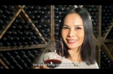 Primitivo Gioia del Colle DOC   Joy in the glass