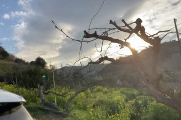 LONGEST LUNCH EVER! CALABRIAN SLOW COOKED AGRI-TURISMO EXPERIENCE #calabria #calabriadreaming #italy