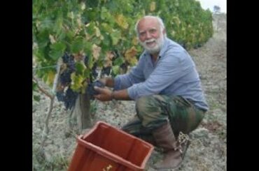 Wine Pairing and Tasting from Volterra, Sunday, March 14th Final Webinar