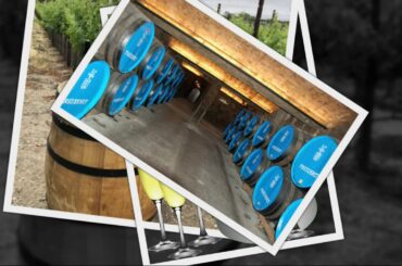 Wine Reviews, Wineries To Visit And Seminars For The Wine Enthusiast