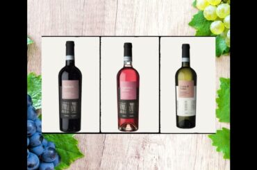 Wine for Sale: Italian Wine in Brno