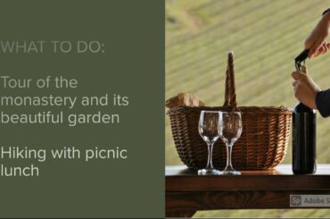 BUY DRINK VISIT Ep 1