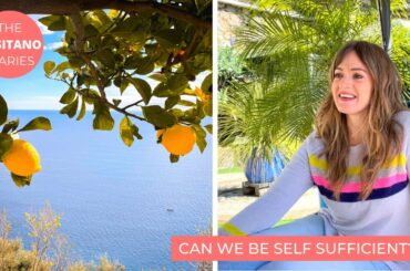 MAKING MEALS ONLY FROM WHAT WE GROW! | ZERO KM FOOD in March| The Positano Diaries EP 99