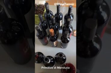 Primitivo di Manduria Tasting