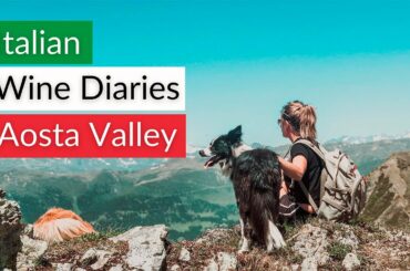 Aosta Wineries (Pellissier) | Italian Wine Tour | The smallest Wine Region in Italy